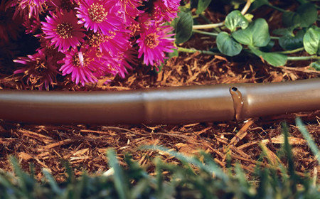 Dripping irrigation is used in flower beds and in any landscape, Poughkeepsie, NY