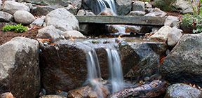 Backyard garden koi pond with aquascape componets build in highland ny hudson valley area, pondstars 