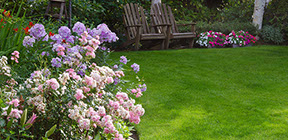 colorful perennial garden landscape area in newpaltz ny 12561 #hudsonvalleylandscaping