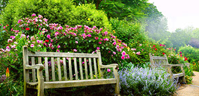 colorful landscaping next to a rustic bench build in newpaltz ny 12561