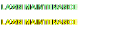 LAWN MAINTENANCE