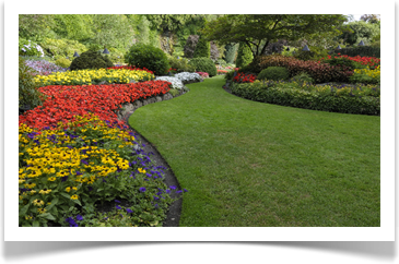 landscaper contractor