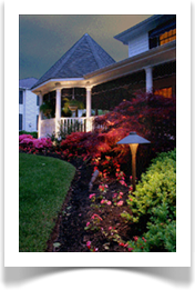 Landscape Ligh fixtures