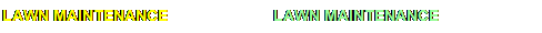 LAWN MAINTENANCE