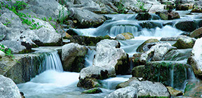 garden koi pond using aquascape componets build in poughkeepsie ny #pondstars ny