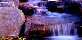Landscape koi pond in garden with aquascape components build in poughkeepsie ny 12603